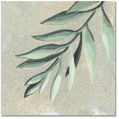 Nusa Jade Botanic 25x25 Porcellanato Δαπέδου & Τοίχου Vintage