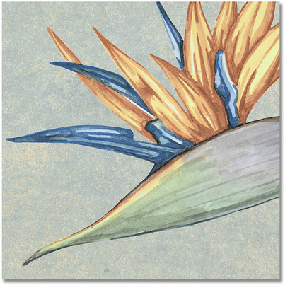 Nusa Jade Botanic 25x25 Porcellanato Δαπέδου & Τοίχου Vintage