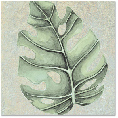 Nusa Jade Botanic 25x25 Porcellanato Δαπέδου & Τοίχου Vintage