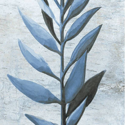 Nusa Sapphire Botanic 25x25 Porcellanato Δαπέδου & Τοίχου Vintage