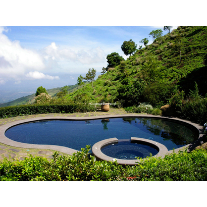 EZARRI 2501-B Niebla Ψηφίδα Σε Δίχτυ Μαύρη