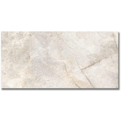 Karag Ramon Grey 60x120 Rettificato Polished Γρανιτοπλακάκι δαπέδου