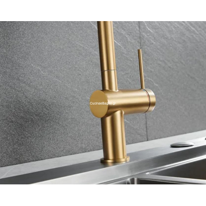 IMEX Berna Μπαταρία Κουζίνας Ντους Χρυσό Ματ GCE026/OC