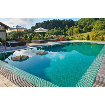 EZARRI 2586-B Niebla Ψηφίδα Σε Δίχτυ Πράσινη