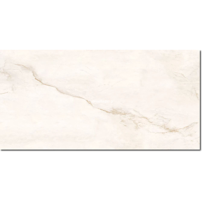 Brakel Gold Polished 60x120 Rettificato Γρανιτοπλακάκι Δαπέδου